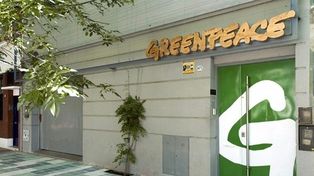 Alto directivo de Greenpeace fue acusado por acoso
