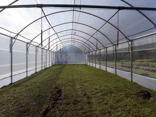 El interior de El Aromito.&nbsp;