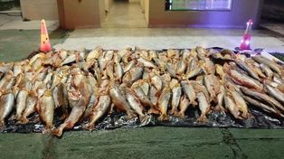 Hasta dónde llega la nueva prohibición de exportar pescado en Santa Fe: las claves de la medida
