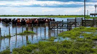 Entre Ríos declaró la Emergencia Hídrica por el fenómeno El Niño