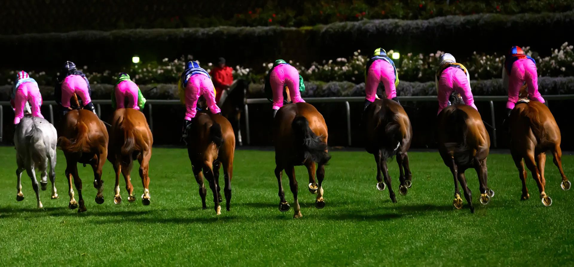 Melbourne, Australia. Los jinetes usan sedas rosas en el Breast Cancer Network Australia Handicap durante las carreras en Moonee Valley. Fotografía: Vince Caligiuri/Getty Images Melbourne, Australia. Los jinetes usan sedas rosas en el Breast Cancer Network Australia Handicap durante las carreras en Moonee Valley. Fotografía: Vince Caligiuri/Getty Images