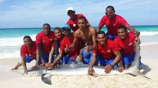 Un tiburón agonizó hasta la muerte mientras unos socorristas posan con él para una foto
