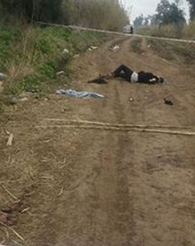 Matan de un balazo en la nuca a una travesti en un camino rural de Pérez