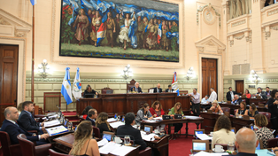 Diputados modificó la ley de Necesidad y vuelve al Senado