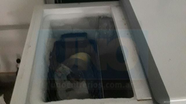Vacíos. Los frezeer fueron saqueados por el o los ladrones.