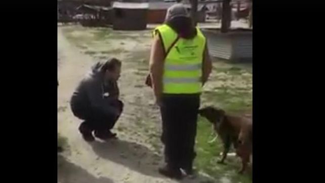 Una perrita robada se reencontró con su dueño después de dos años