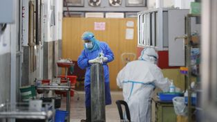 Otras 443 personas murieron y 18.793 fueron reportadas con coronavirus en las últimas 24 horas