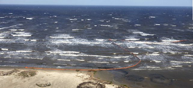 La mancha de petr&oacute;leo lleg&oacute; a Luisiana y se avizora una devastadora cat&aacute;strofe ecol&oacute;gica