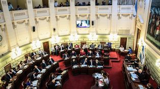 Diputados denuncian el corte de servicios de salud a discapacitados