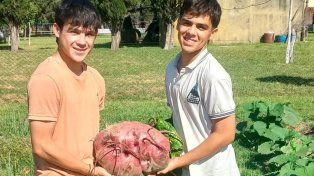 Estudiantes de escuela agrotécnica de Entre Ríos cosecharon una remolacha gigante