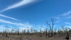 Los relevamientos y las tomas de imágenes permitirán además, constatar que no se registren nuevos focos de incendios en la zona delimitada para la investigación. Los relevamientos y las tomas de imágenes permitirán además, constatar que no se registren nuevos focos de incendios en la zona delimitada para la investigación.