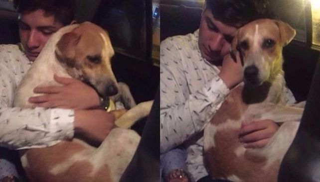 Salía borracho de un boliche, adoptó un perrito callejero y se volvió viral