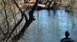 Buzos tácticos de Prefectura Naval encontraron un cuerpo en las aguas del río Chubut.