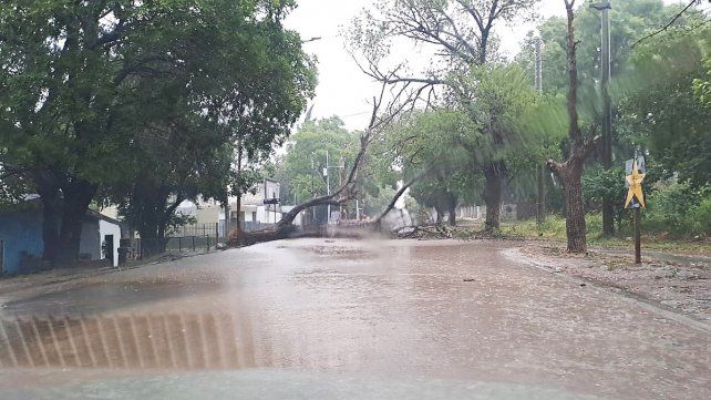 Personal de la Dirección de Protección Civil de la Municipalidad de Paraná recorre la ciudad durante la tormenta para evaluar los daños
