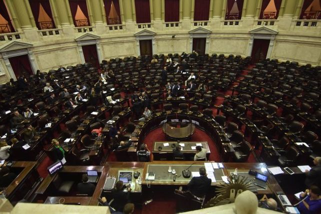 Diputados aprobó la quita de la patria potestad a los femicidas Cámara de Diputados