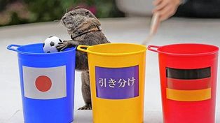 Mundial Qatar 2022: Taiyo