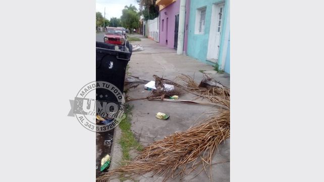 Restos de podas en la vereda