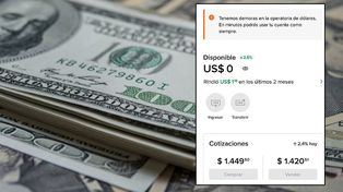 MercadoPago, la app de Marcos Galperin, le puso un cepo temporal a la venta de dólares tras la derrota de LLA