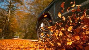 Se viene el otoño y todo vehículo requiere un mantenimiento acorde.
