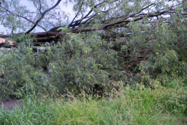 Llegó la lluvia y provocó destrozos: sigue el alerta por tormentas fuertes
