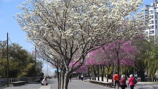 Un domingo frío, pero soleado le abre la puerta a un domingo con buenas condiciones.&nbsp;