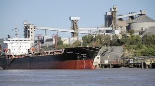 Soja. La importación de soja de Paraguay es motivo de un conflicto entre cerealeras y la Aduana.