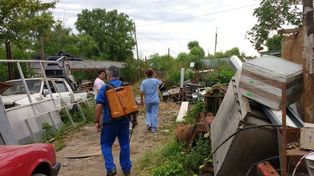 Cappiello instó a prevenir para evitar la propagación del mosquito Aedes Aegypti