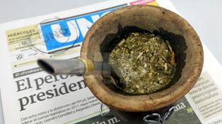 Hoy es el Día Nacional del Mate