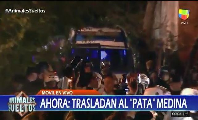Animales Sueltos mostró un video exclusivo de cómo trasladaron a Pata Medina