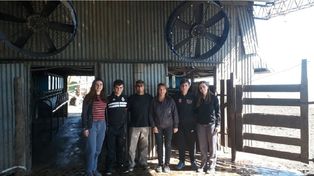 Tamberos, con asistencia perfecta aun con fríos bajo cero