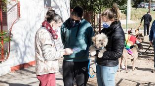 Paraná tiene un nuevo punto fijo de Salud y Bienestar Animal