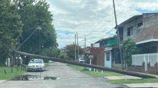 Prevén multas a empresas que no mantengan en buen estado postes o columnas