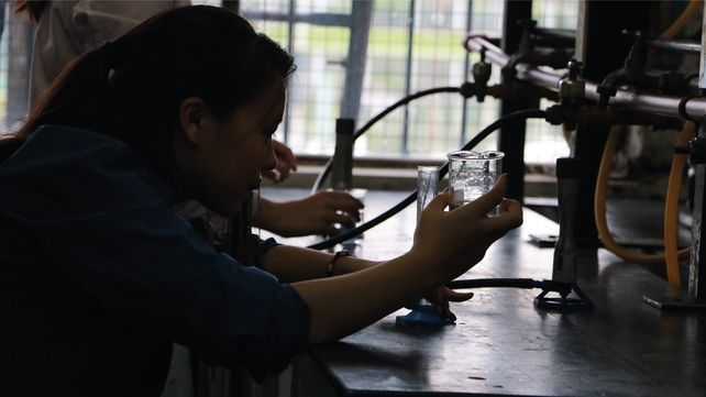 En las Técnicas, la presencia de mujeres pasó de 30,7% a 34,2% de la matrícula
