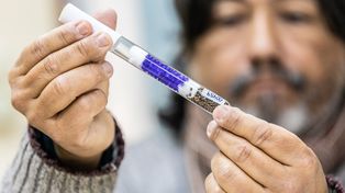 La UNL y Conicet trabajan en el desarrollo genético de semillas de cannabis para uso medicinal