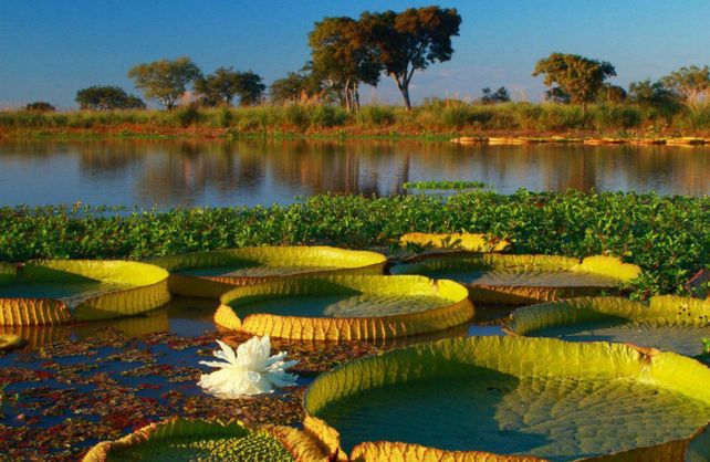 El parque santafesino siempre dependió del Parque Pre-Delta