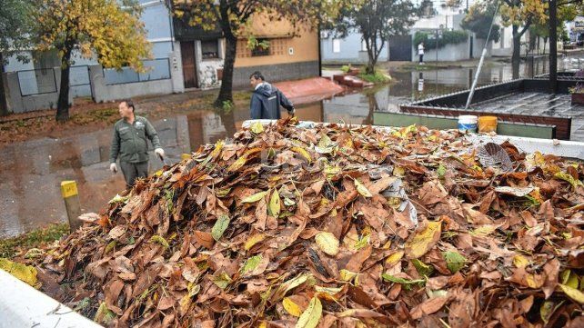Temporal: el municipio defendió el funcionamiento de las estaciones de bombeo y admitió dificultades por las hojas que obstruyen los drenajes Temporal: el municipio defendió el funcionamiento de las estaciones de bombeo y admitió dificultades por las hojas que obstruyen los drenajes