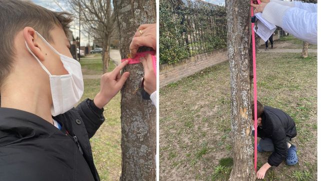 Estudiantes de Pujato, premiados por un proyecto en el que fueron guardianes de árboles