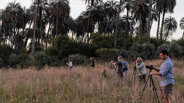 El Palmar: se exhiben fotos ganadoras de concurso fotográfico
