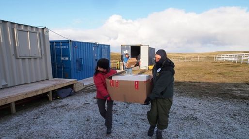 Llegaron de Malvinas las primeras muestras de soldados NN argentinos