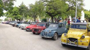 Se realizará el 4º Encuentro Citronero del Litoral