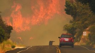 Los incendios hacen estragos en la zona de California: 11 mil hectáreas arrasadas
