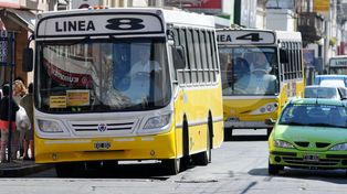 Colectivos: rigen nuevos recorridos para las líneas 8 y 14 en diferentes barrios