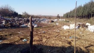 Recicladores suspenden recepción de residuos en una ciudad entrerriana