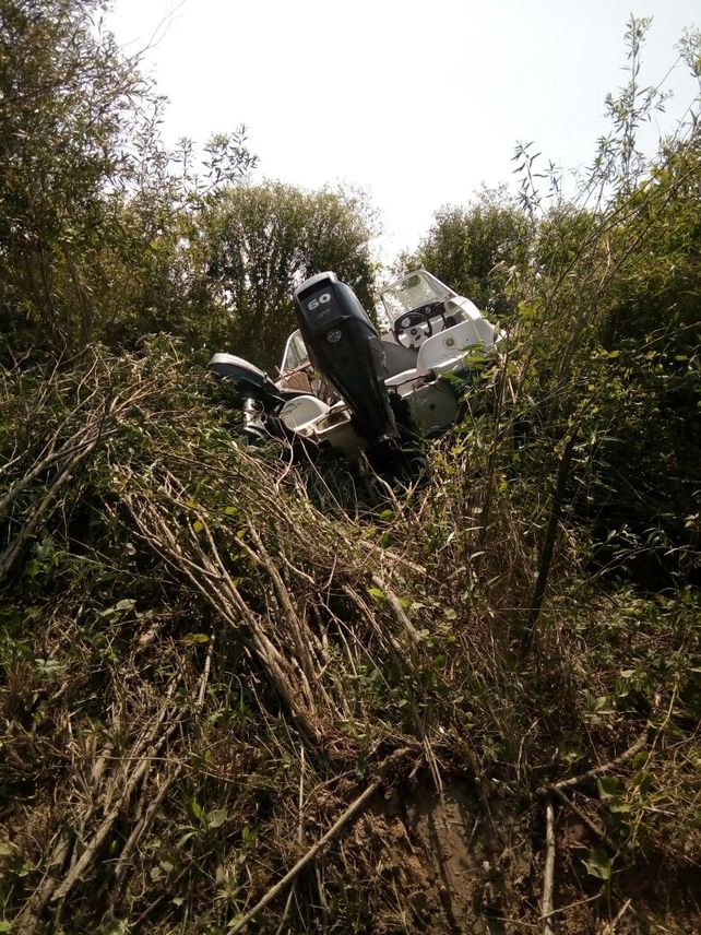Le salvaron la vida a un hombre picado por abejas en Arroyo Potreros