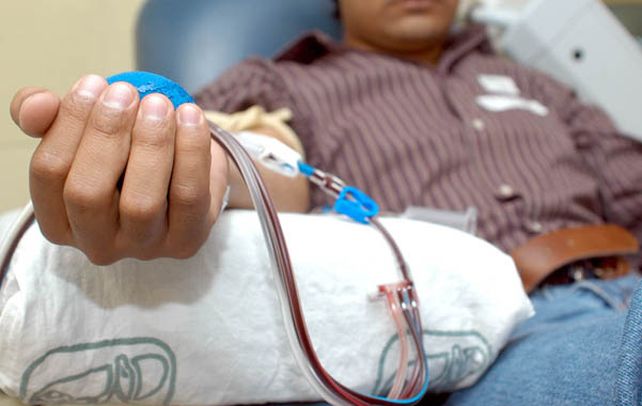 Sistema mundial. Un donante voluntario de células progenitoras. En el país se aplican las técnicas más avanzadas.