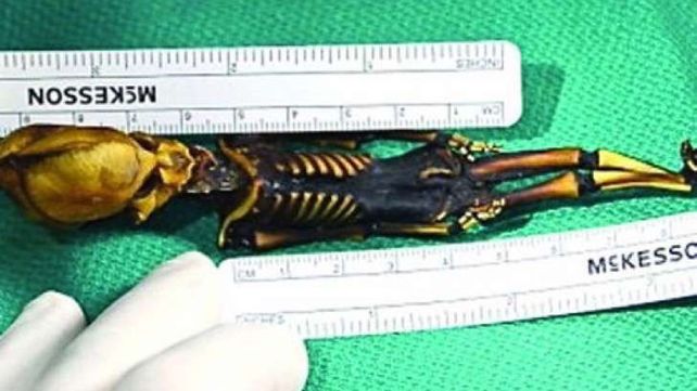 El gran descubrimiento y misterio sobre un supuesto alien