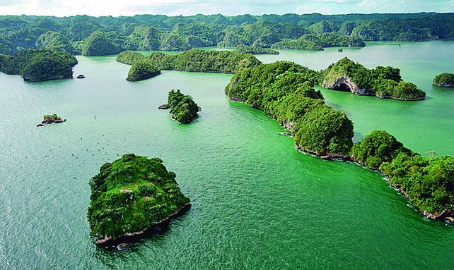 El Parque Nacional Los Haitises es todo un lujo en vegetación y un lugar perfecto para vivir aventuras.
