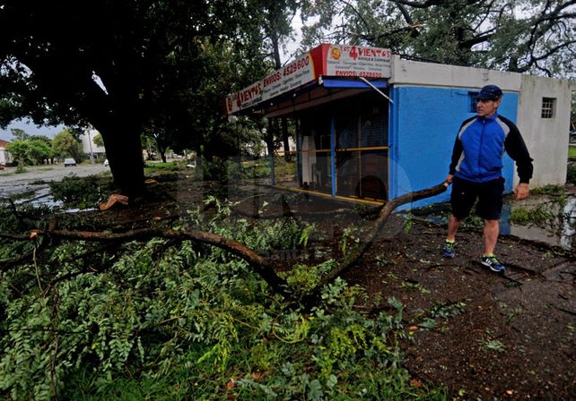 La Plaza de las banderas fue otra de las que tuvo caída de árboles. Foto: M. Testi