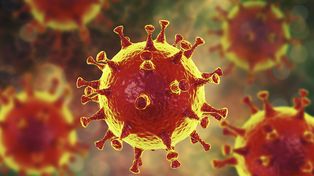 Descubrimiento. Varios expertos determinaron que el virus estaba en Italia desde noviembre del año pasado.