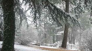 La copiosa nieve apag&oacute; los incendios en el valle de Punilla y hubo festejos